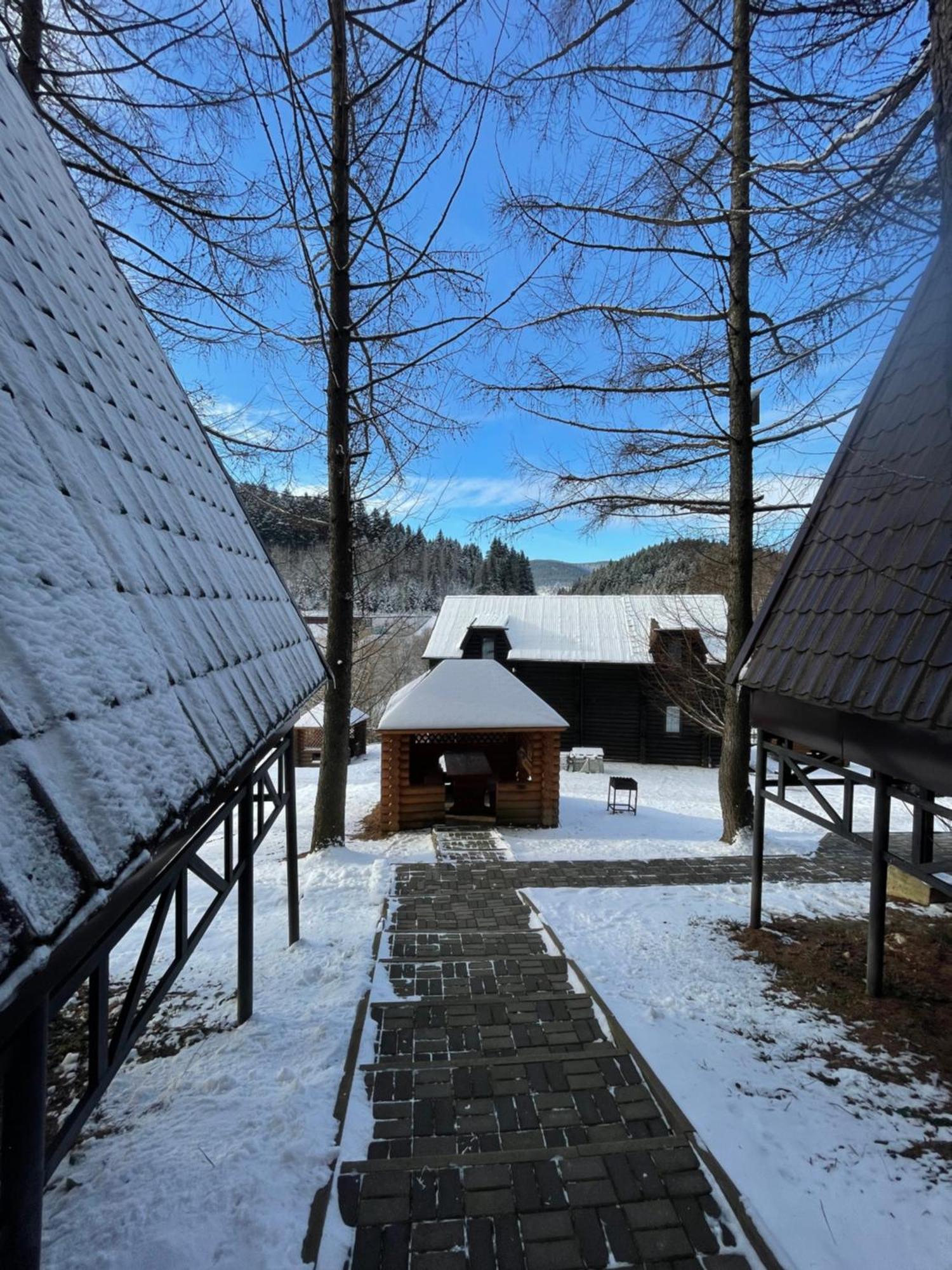 Villa Karpatskyy Rozluch Exterior foto