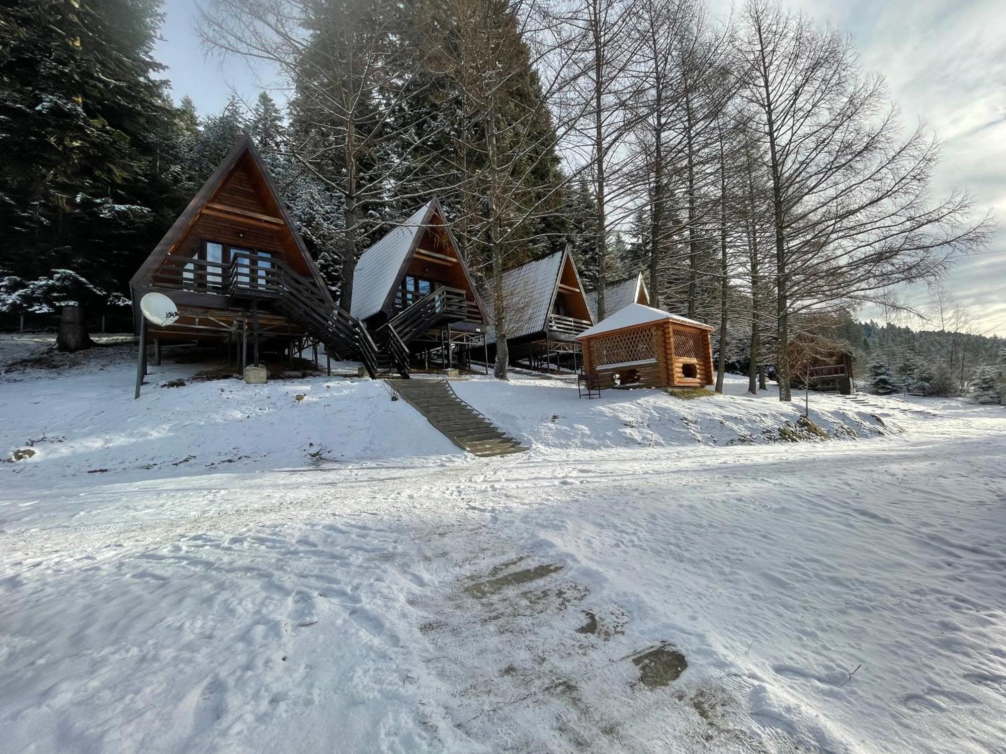 Villa Karpatskyy Rozluch Exterior foto